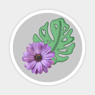 Monstera Leaf and Purple Daisy - Swiss Cheese Leaf Magnet